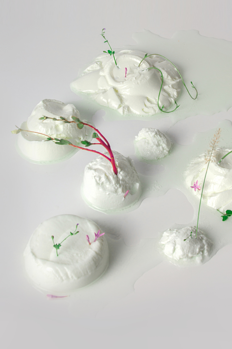 Bhaane vanilla from starter culture to start up culture